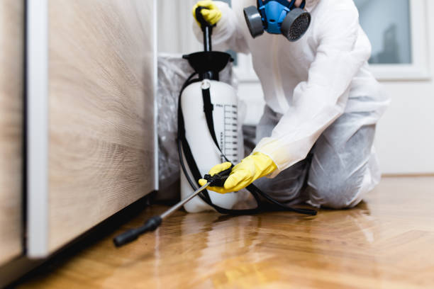 Best Residential Pest Control  in Lake Hallie, WI
