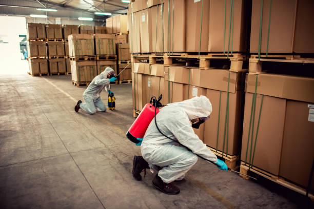 Best Rat Extermination Near Me  in Lake Hallie, WI