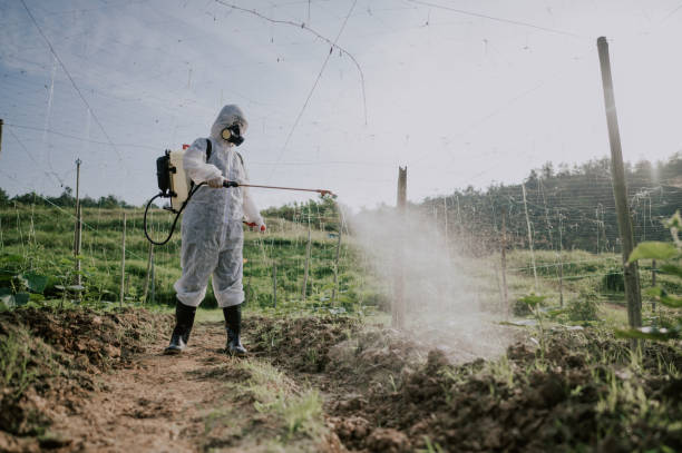 Best Commercial Pest Control Services  in Lake Hallie, WI