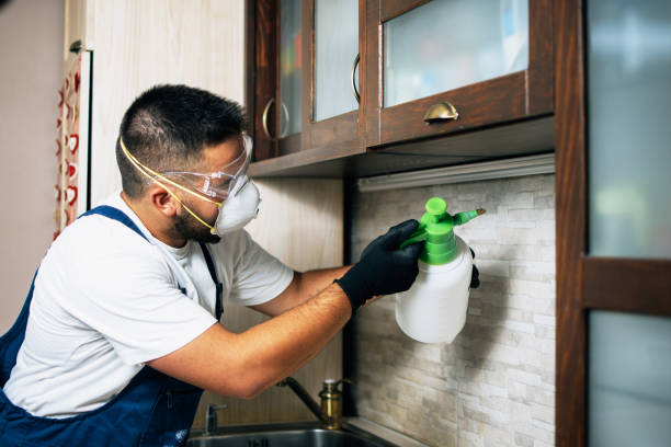 Wildlife Control Services in Lake Hallie, WI