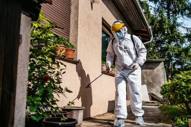 Best Mosquito Control Services  in Lake Hallie, WI