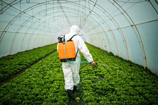 Best Residential Pest Control  in Lake Hallie, WI