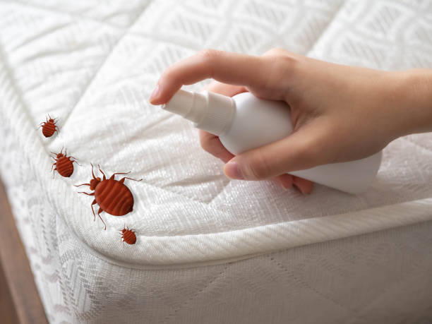 Best Ant Control Services  in Lake Hallie, WI