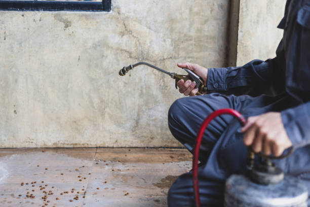 Best Exterminator Services  in Lake Hallie, WI