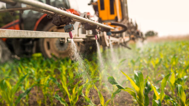Best Pest Removal Services  in Lake Hallie, WI